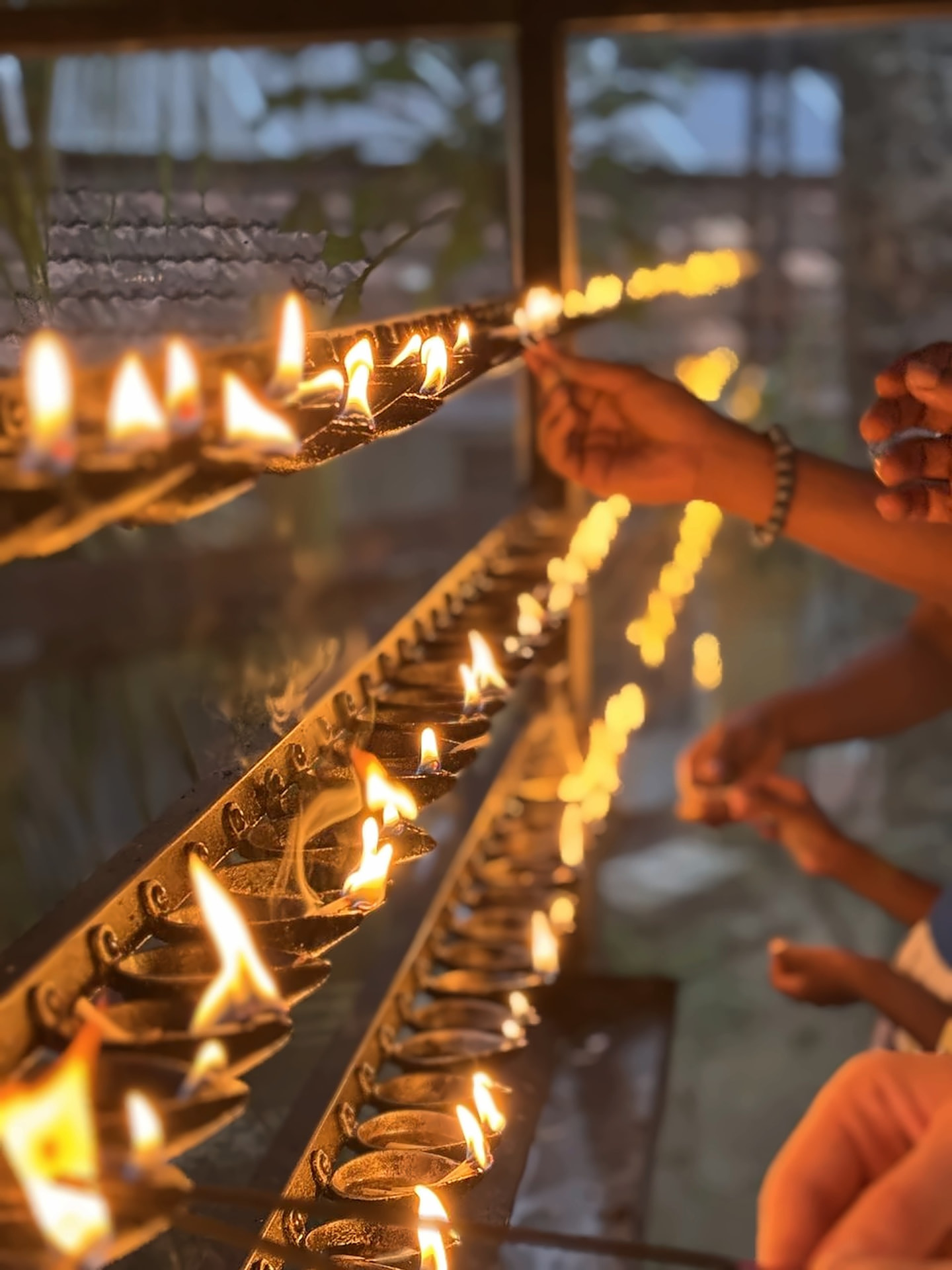 Rituaalilambid Sri Lankal